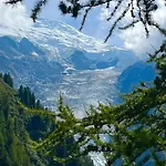 Appartamento Centre Grande Terrasse Mont Blanc Chamonix